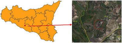 Effect of the gellan-based edible coating enriched with oregano essential oil on the preservation of the ‘Tardivo di Ciaculli’ mandarin (Citrus reticulata Blanco cv. Tardivo di Ciaculli)